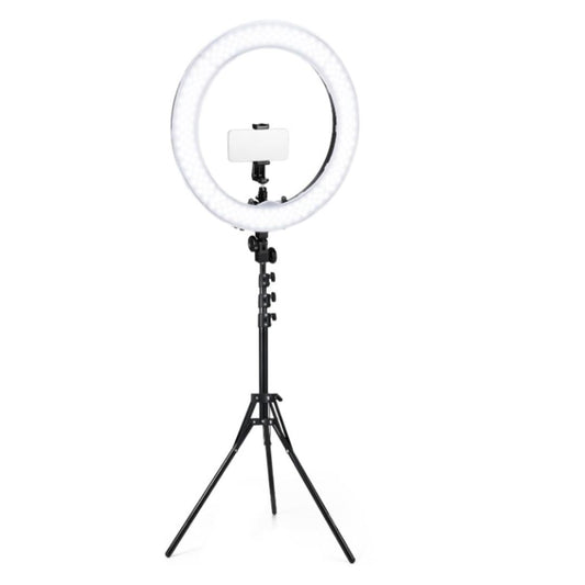 Led Ring Light 26cm/ Led Ring Light With Phone Holder